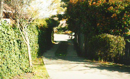 Driveway