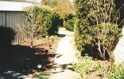 Path down the side of the house